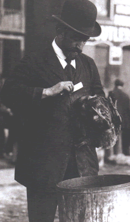 Rabbi performing the ritual slaughter of a chicken in the orthodox style, Charles Street, 1912.