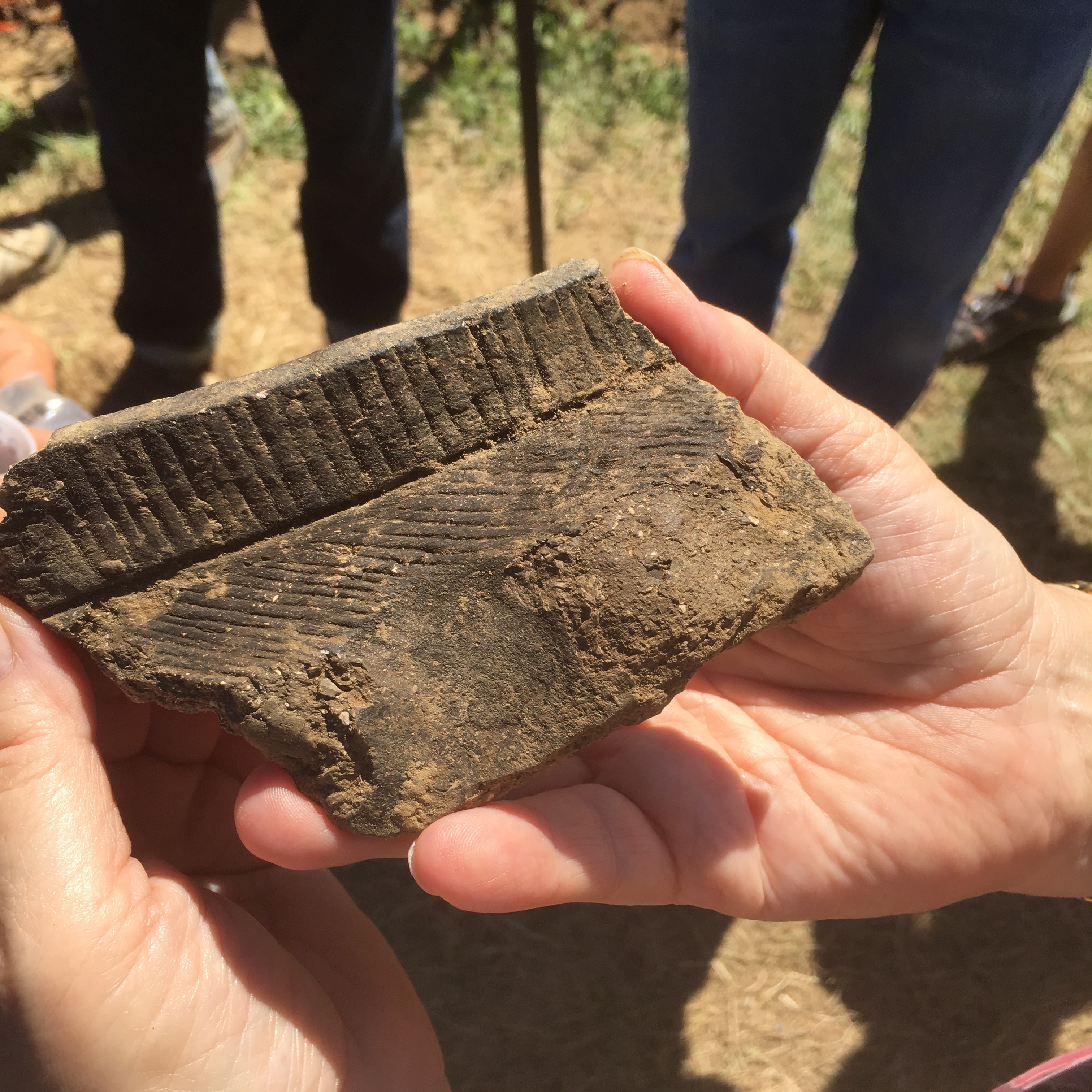 Large indigenous pottery fragment, Hollister site, 2016. photo: Walter Woodward
